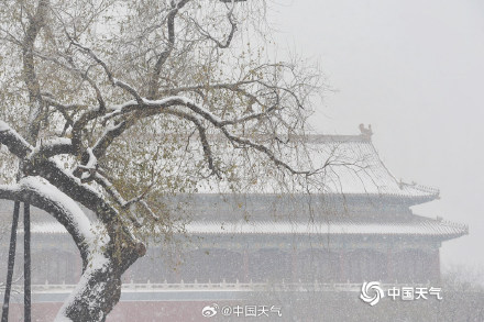 故宫雪景高清大片上新