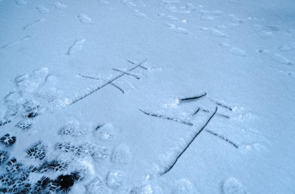 天气 | 最大降雪在这！天津高速、公交、铁路、景区最新信息→