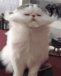 暴涨暴跌！“王炸”寒潮已发货！厦门天气接下来太刺激