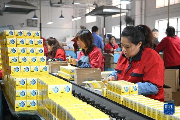 老字号里看信心系列报道——突破创新 “鸵鸟”墨水再起步