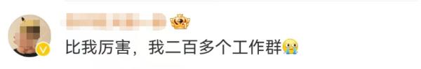 “一口气退了600多个工作群”最新后续：当事人已回南充创业