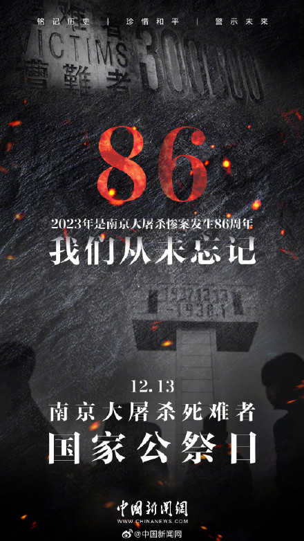 以国之名 悼我同胞