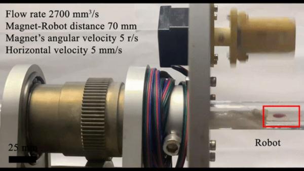 科技资讯｜研究人员研发出逆流而上的自矢量微型机器人 等