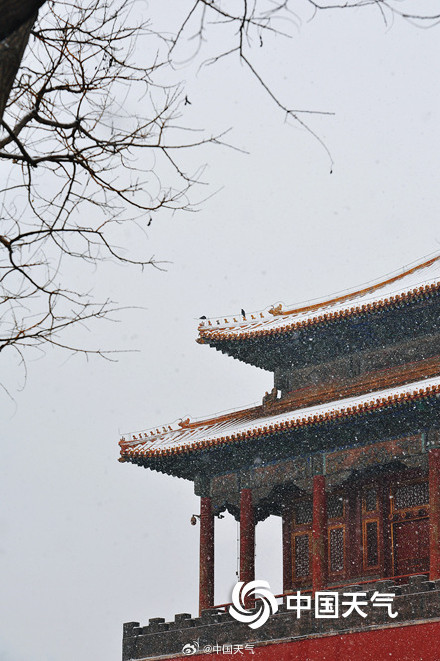 故宮雪景高清大片上新