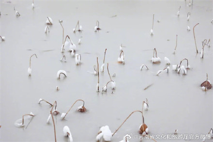 雪在黄河边落成一幅画