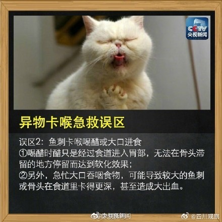 记住这个海姆立克急救法！关键时刻能救命