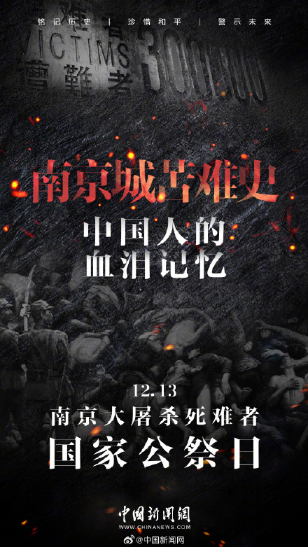 以国之名 悼我同胞