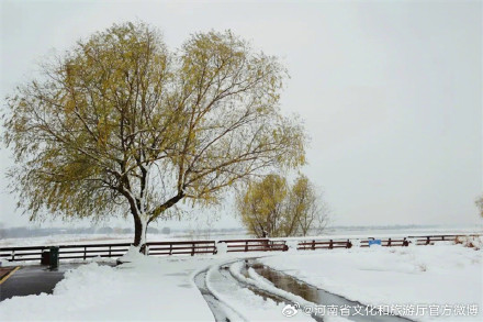 雪在黄河边落成一幅画