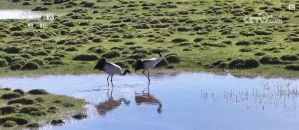 六个“着力”、五篇“大文章” 关键词里传递2024年经济工作新动向