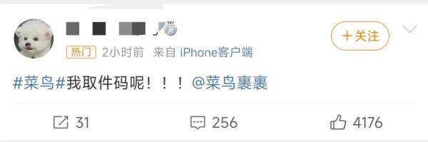 双十二还没过,菜鸟崩了!官方回应 双十二还没过,菜鸟崩了!官方回应