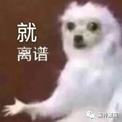 绝了！网恋两年生下孩子，男友借了58万不还，还花钱找人冒充婆婆……