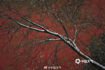 故宫雪景高清大片上新