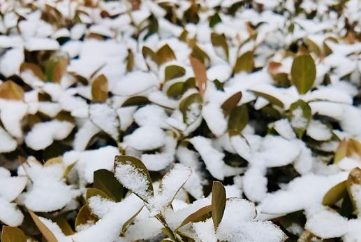 天气 | 最大降雪在这！天津高速、公交、铁路、景区最新信息→