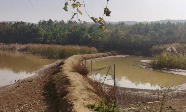 心真大啊!他在河里洗起“手雷”,警方紧急赶往现场…… 心真大啊!他在河里洗起“手雷”,警方紧急赶往现场……