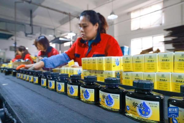 老字号里看信心系列报道——突破创新 “鸵鸟”墨水再起步