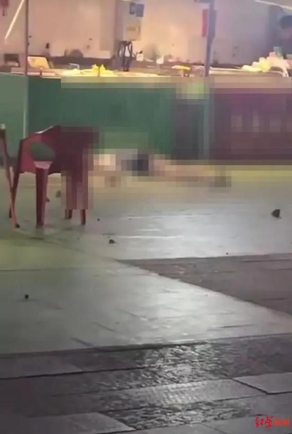 28岁女子被天降砖头砸中离世,凶手刑罚公布! 28岁女子被天降砖头砸中离世,凶手刑罚公布!