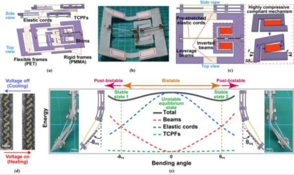 科技资讯｜研究人员研发出逆流而上的自矢量微型机器人 等