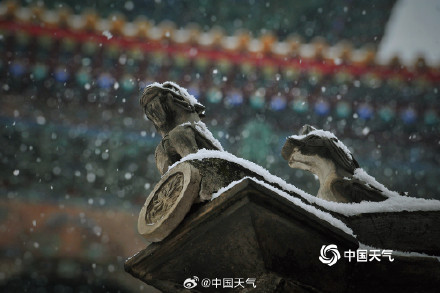 故宫雪景高清大片上新