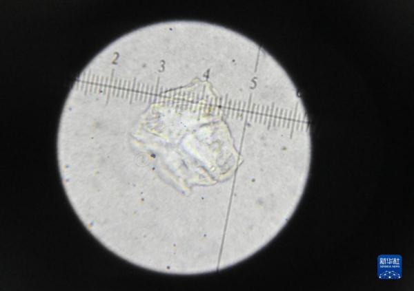 老字号里看信心系列报道——突破创新 “鸵鸟”墨水再起步