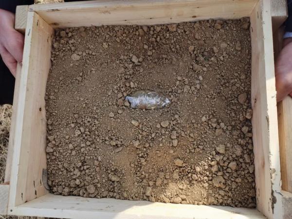 心真大啊!他在河里洗起“手雷”,警方紧急赶往现场…… 心真大啊!他在河里洗起“手雷”,警方紧急赶往现场……