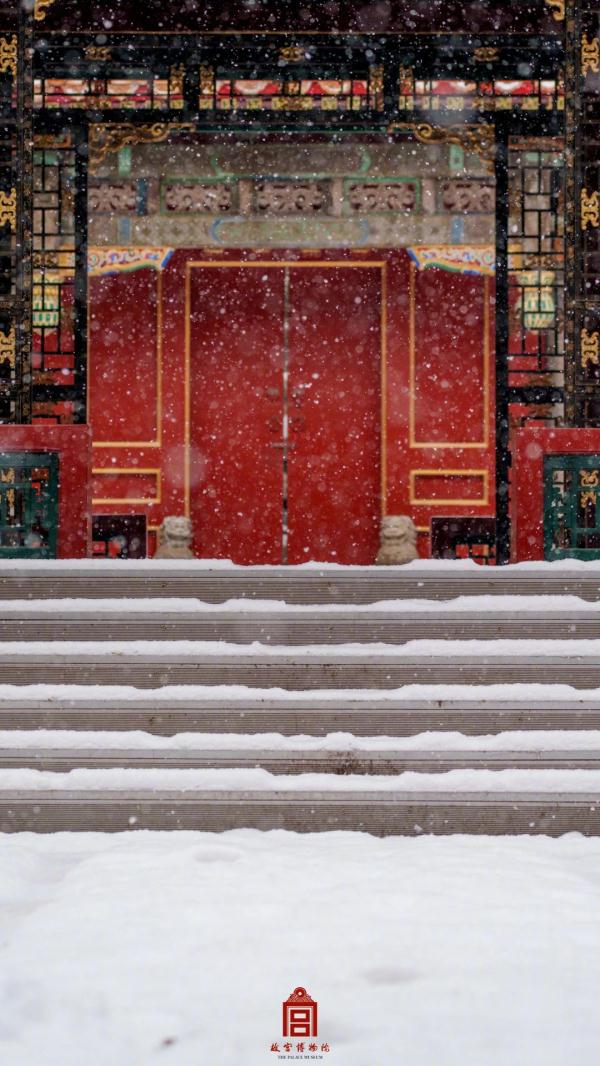 故宫的猫,出来玩雪了! 故宫的猫,出来玩雪了!