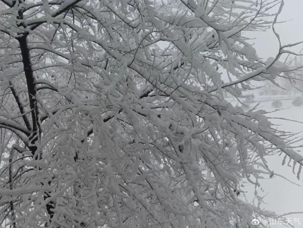 济南西站、青岛站多趟列车停运!山东局地积雪深度达18cm!济南惊现“雷打雪”…… 济南西站、青岛站多趟列车停运!山东局地积雪深度达18cm!济南惊现“雷打雪”……