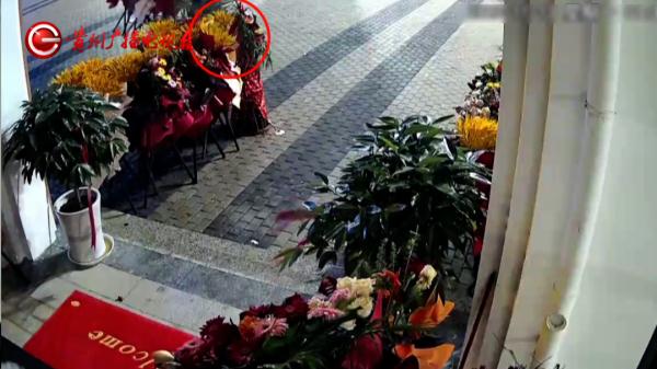 贵阳一男子发现店门口花篮被盗，一查监控发现竟是大乌龙……