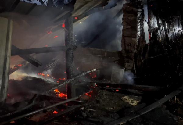 主人这一操作让“佩奇”险变烤乳猪 猪：变着法吃我？