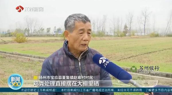 冬天苍蝇爬满墙,夏天锅都不敢开!养鸡场臭味扰民,村民直呼:受不了 冬天苍蝇爬满墙,夏天锅都不敢开!养鸡场臭味扰民,村民直呼:受不了