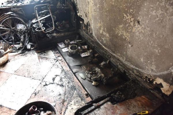 主人这一操作让“佩奇”险变烤乳猪 猪：变着法吃我？