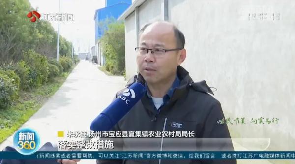 冬天苍蝇爬满墙,夏天锅都不敢开!养鸡场臭味扰民,村民直呼:受不了 冬天苍蝇爬满墙,夏天锅都不敢开!养鸡场臭味扰民,村民直呼:受不了