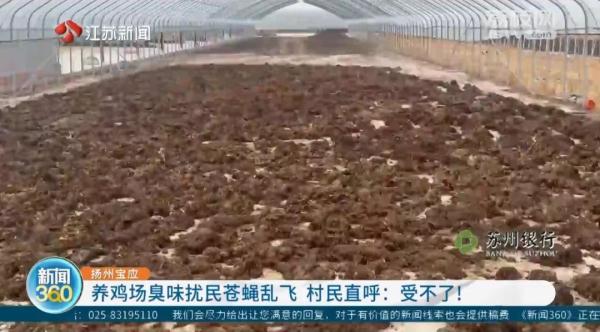 冬天苍蝇爬满墙,夏天锅都不敢开!养鸡场臭味扰民,村民直呼:受不了 冬天苍蝇爬满墙,夏天锅都不敢开!养鸡场臭味扰民,村民直呼:受不了