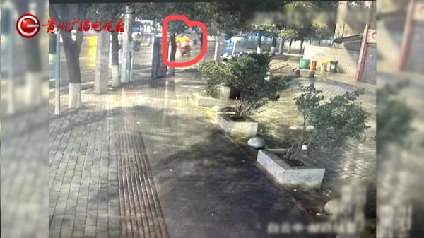 贵阳一男子发现店门口花篮被盗，一查监控发现竟是大乌龙……