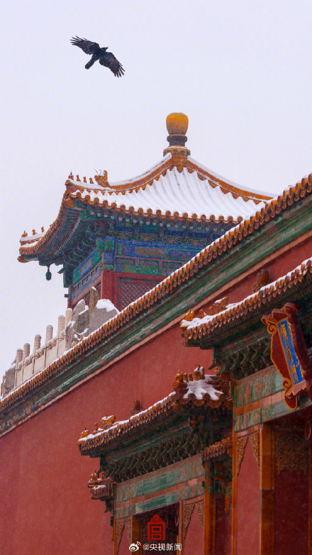 太美了！故宫雪景大片又上新
