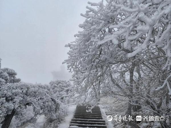 山东暴雪已开下！部分地区积雪深度已达18厘米！四预警继续！济南现罕见“雷打雪”……