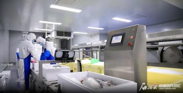 新疆三文鱼,又将新添一项权威认证! 新疆三文鱼,又将新添一项权威认证!