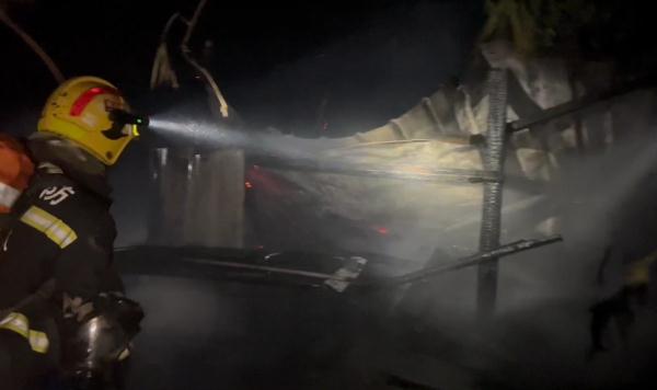 主人这一操作让“佩奇”险变烤乳猪 猪：变着法吃我？