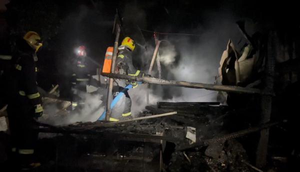 主人这一操作让“佩奇”险变烤乳猪 猪：变着法吃我？