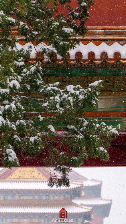 太美了！故宫雪景大片又上新