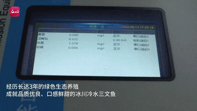 新疆三文鱼,又将新添一项权威认证! 新疆三文鱼,又将新添一项权威认证!