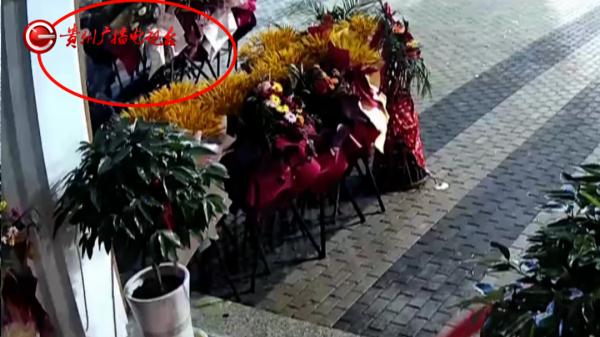 贵阳一男子发现店门口花篮被盗，一查监控发现竟是大乌龙……