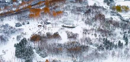 水墨郑州图作者找到了