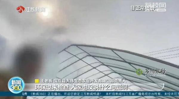 冬天苍蝇爬满墙,夏天锅都不敢开!养鸡场臭味扰民,村民直呼:受不了 冬天苍蝇爬满墙,夏天锅都不敢开!养鸡场臭味扰民,村民直呼:受不了