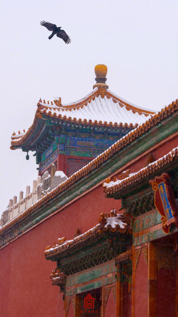 红墙白雪，故宫雪景壁纸再上新