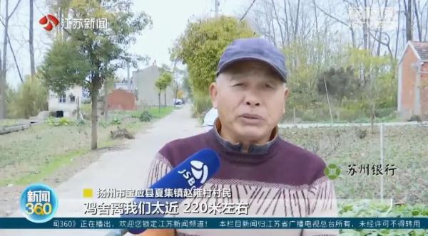 冬天苍蝇爬满墙,夏天锅都不敢开!养鸡场臭味扰民,村民直呼:受不了 冬天苍蝇爬满墙,夏天锅都不敢开!养鸡场臭味扰民,村民直呼:受不了