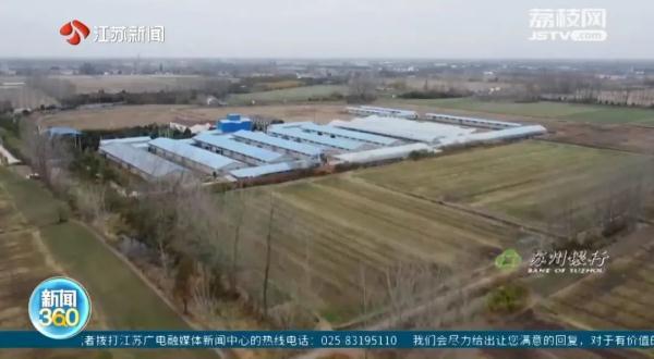 冬天苍蝇爬满墙,夏天锅都不敢开!养鸡场臭味扰民,村民直呼:受不了 冬天苍蝇爬满墙,夏天锅都不敢开!养鸡场臭味扰民,村民直呼:受不了