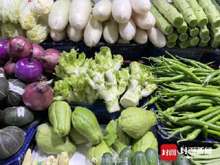 每天要被吃掉25吨！儿菜是成都秋冬菜品顶流