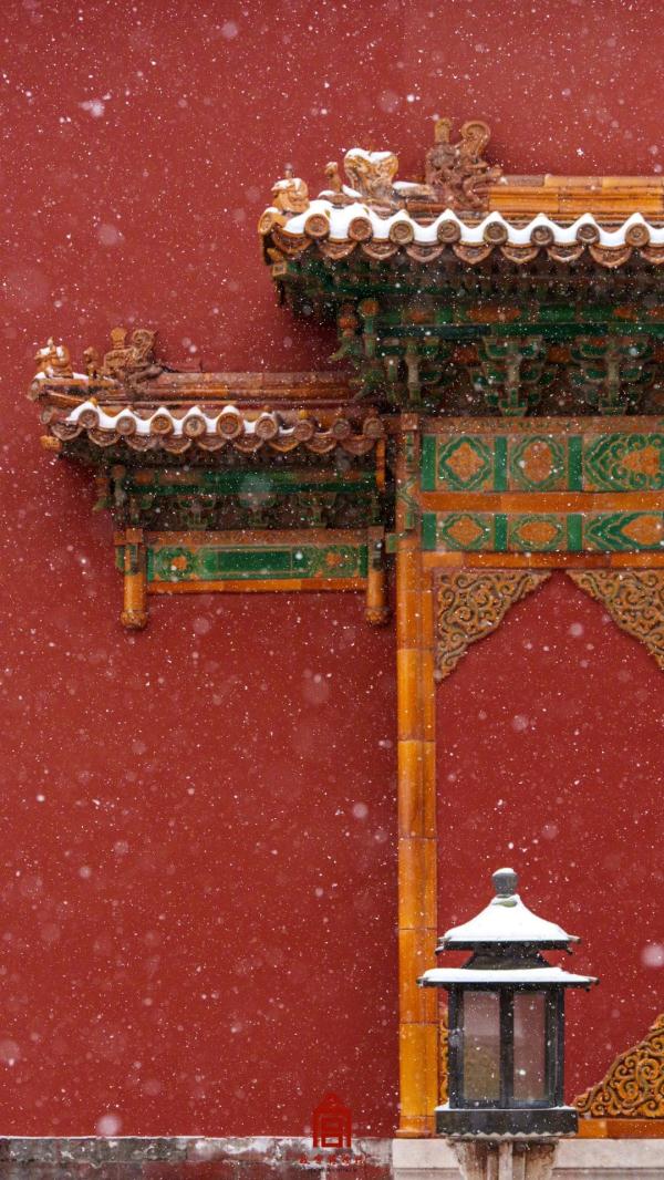 故宫的猫,出来玩雪了! 故宫的猫,出来玩雪了!