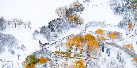 水墨郑州图作者找到了