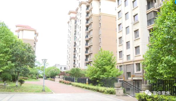 网恋两年生子，领证当天男友消失！男方母亲竟然这样说